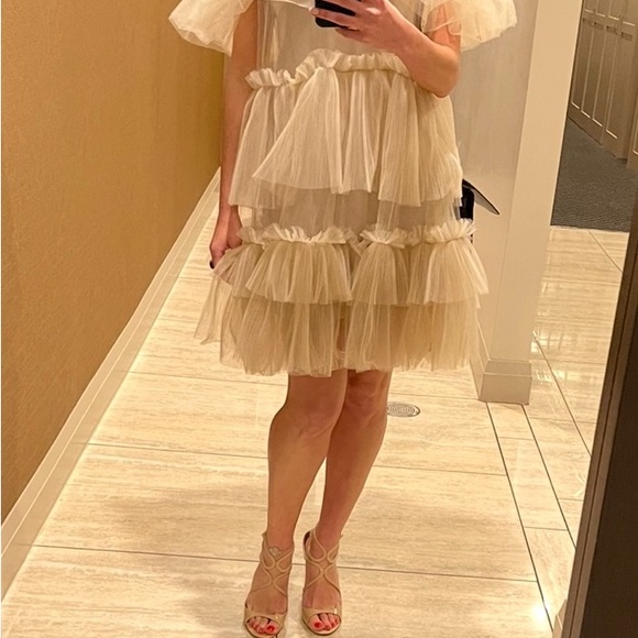 H&M Tulle Ruffled Dress - Picture 2 of 5